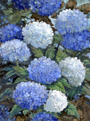 Picture of IMPRESSIONS OF HYDRANGEAS I