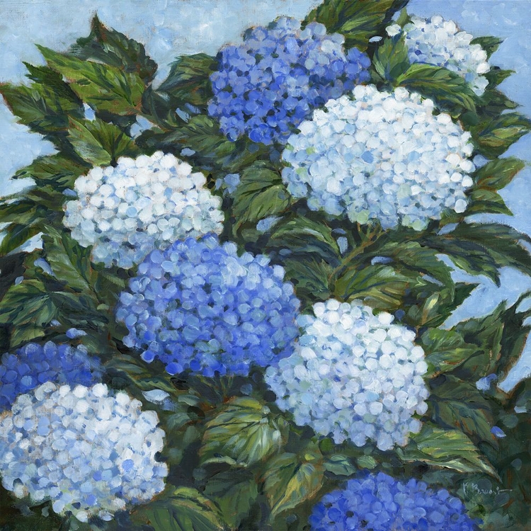 Picture of IMPRESSIONS OF HYDRANGEAS II