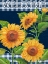 Picture of SUNFLOWER CHIC PLAID VERTICAL