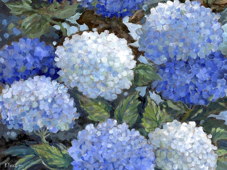 Picture of IMPRESSIONS OF HYDRANGEAS HORIZONTAL