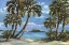 Picture of IMPRESSIONS OF PALMS - BAYSIDE DUO