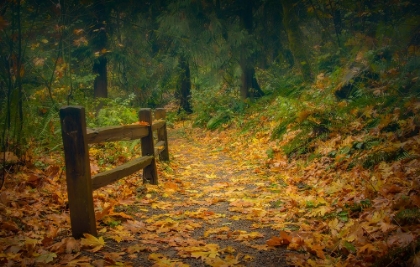 Picture of LEAFY PATH