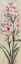 Picture of TALL BLUSH FLOWERS II