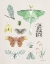 Picture of BEAUTY OF THE FOREST IV