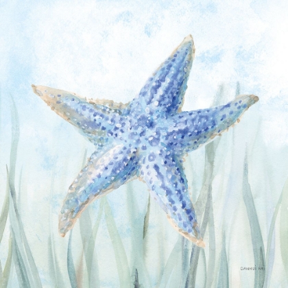 Picture of UNDERSEA STARFISH SEAWEED