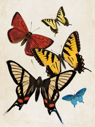 Picture of VINTAGE BUTTERFLY II