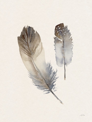Picture of FALLING FEATHERS I