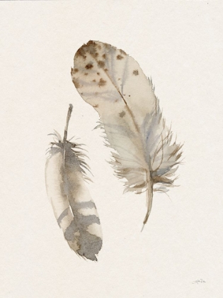 Picture of FALLING FEATHERS II