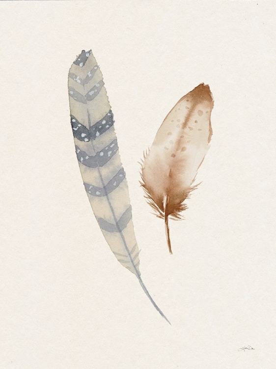 Picture of FALLING FEATHERS IV