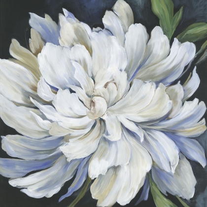 Picture of BLUE PEONIA I