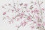Picture of ROSY BLOOMS