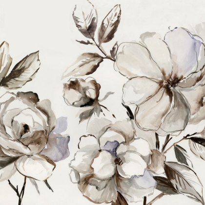 Picture of SKETCH FLORALS II