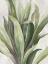 Picture of FLOURISHING FOLIAGE II