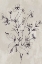 Picture of BOTANICAL DELIGHT III