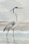 Picture of HERON ON THE BEACH WALK