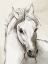 Picture of EQUESTRIAN ELEGANCE II