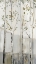 Picture of BLUE BIRCH SERENADE I