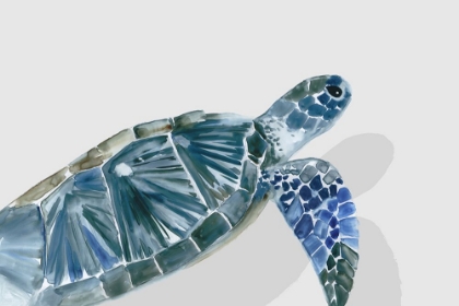 Picture of TURQUOISE TURTLE JOURNEY I