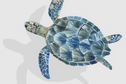 Picture of TURQUOISE TURTLE JOURNEY II