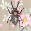 Picture of BEETLE WALLPAPER SQUARE
