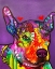 Picture of BLAZE