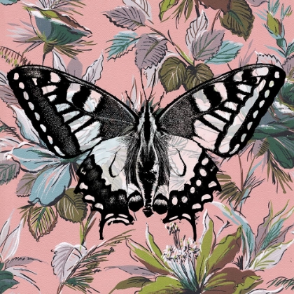 Picture of BUTTERFLY WALLPAPER SQUARE