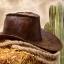 Picture of COWBOY CACTUS