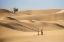 Picture of DESERT STUDY D