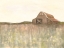 Picture of FARMLAND BEAUTY 3 V2