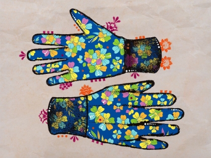 Picture of GLOVES