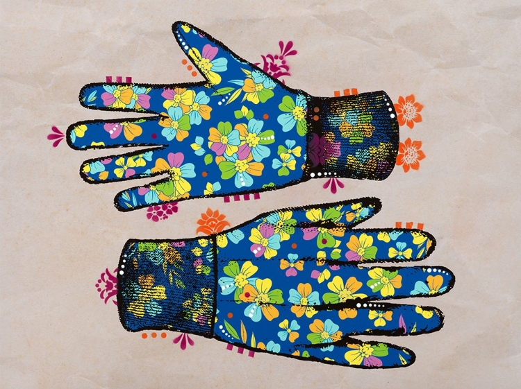 Picture of GLOVES