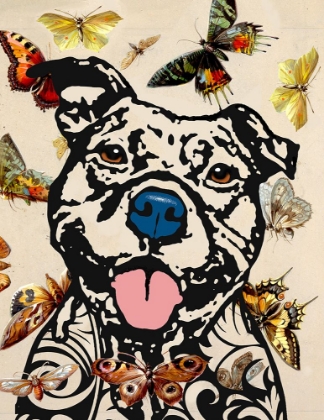 Picture of HAPPY PIT (BUTTERFLIES)
