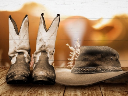 Picture of HAT AND BOOTS