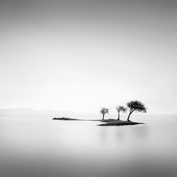 Picture of ISLAND AND TREES