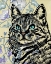 Picture of ITS A CAT THING