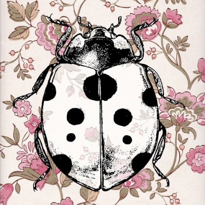 Picture of LADYBUG WALLPAPER SQUARE