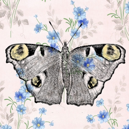 Picture of MOTH WALLPAPER SQUARE