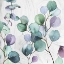 Picture of SENSES I