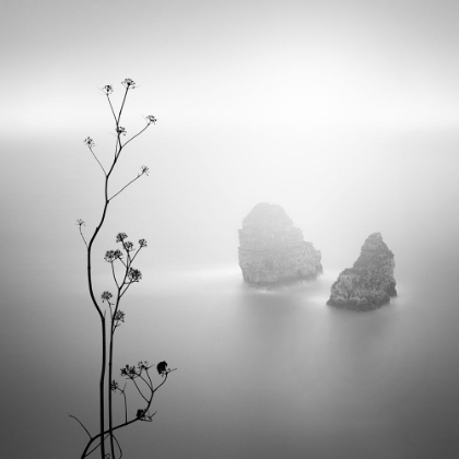 Picture of SILHOUETTE AND ROCKS