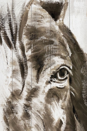 Picture of SKETCHED HORSE