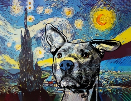 Picture of STARRY PITTIE