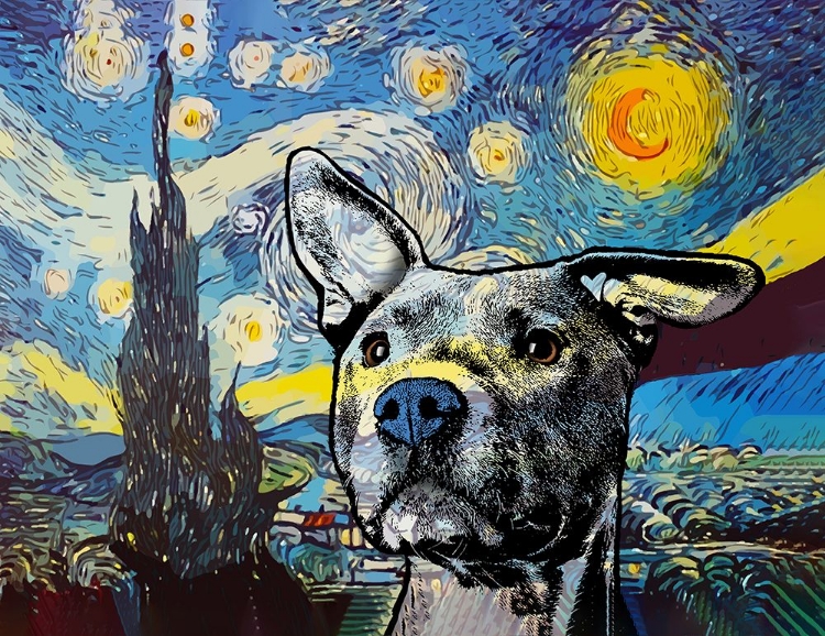 Picture of STARRY PITTIE