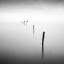 Picture of STICKS AND BIRDS II
