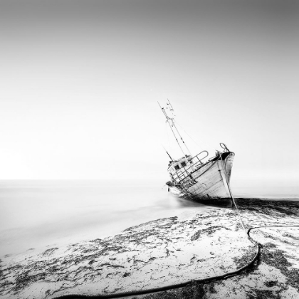 Picture of THE SHIPWRECK