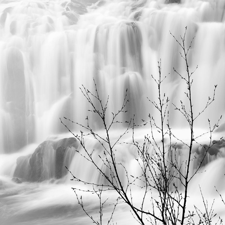 Picture of WATERFALL