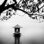 Picture of ZEN LAKE