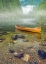 Picture of AQUATIC PONDERING VI