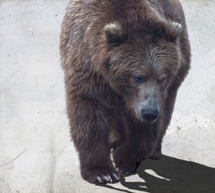 Picture of BEAR I