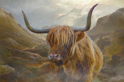 Picture of BOVINE HIGHLANDER IV