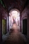 Picture of DARK AND PINK HALLWAY